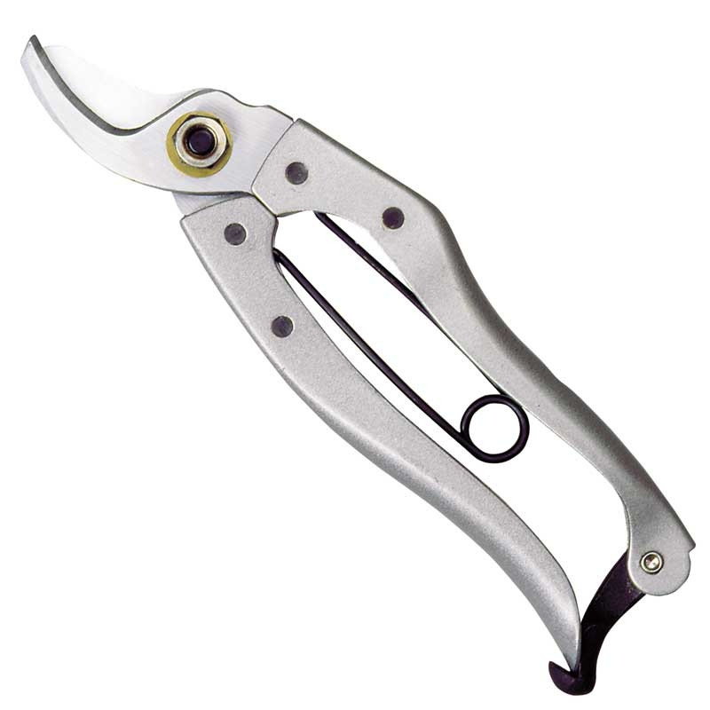 SILKY, SEKATÖR GOLDENSTAR MINI