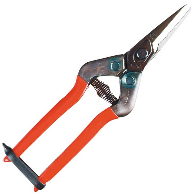 SILKY, BLOMSAX CHIKAMASA "PRO"