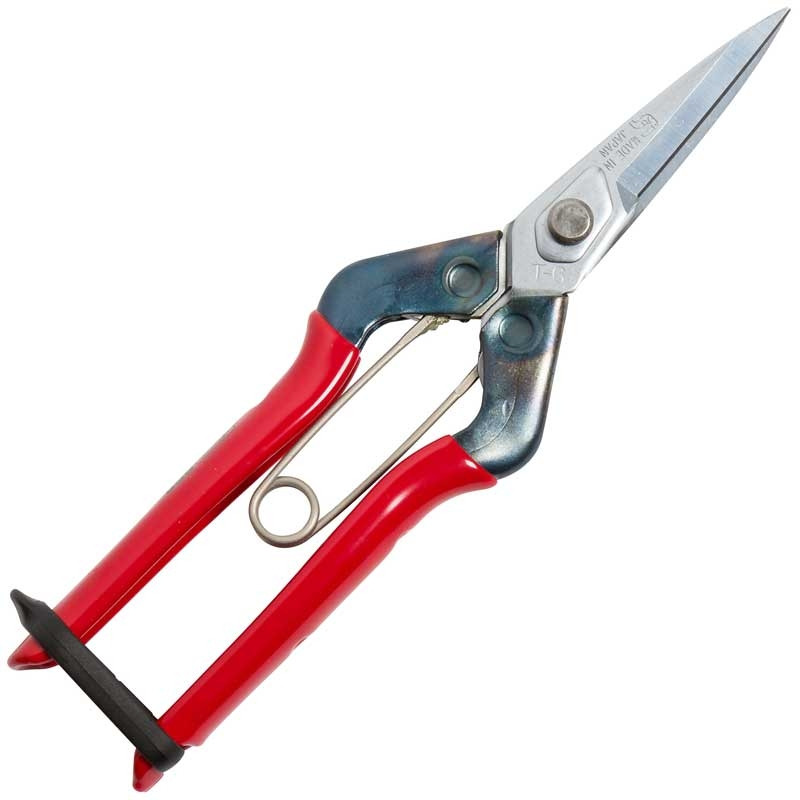 SILKY, BLOMSAX CHIKAMASA "UNIVERSAL"