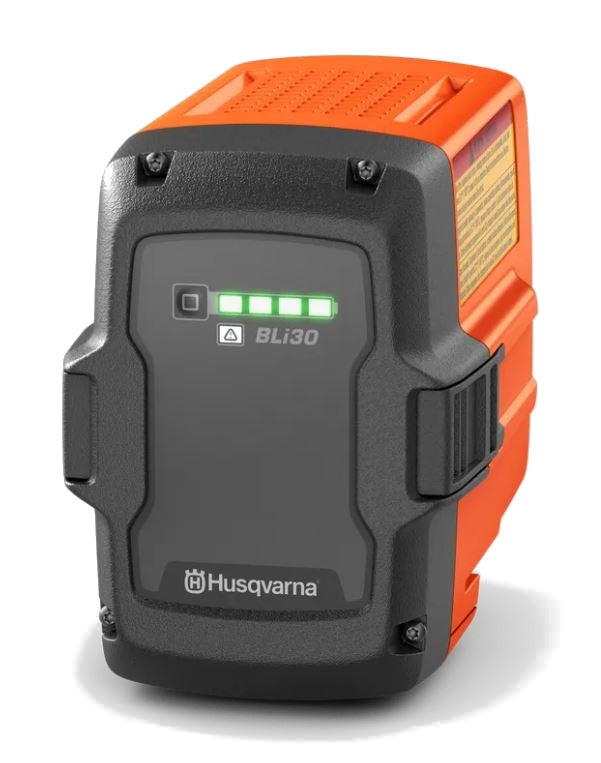 BLI30 BATTERY
