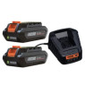 Echo Batteripaket 2A x 2 batteri + laddare 50V